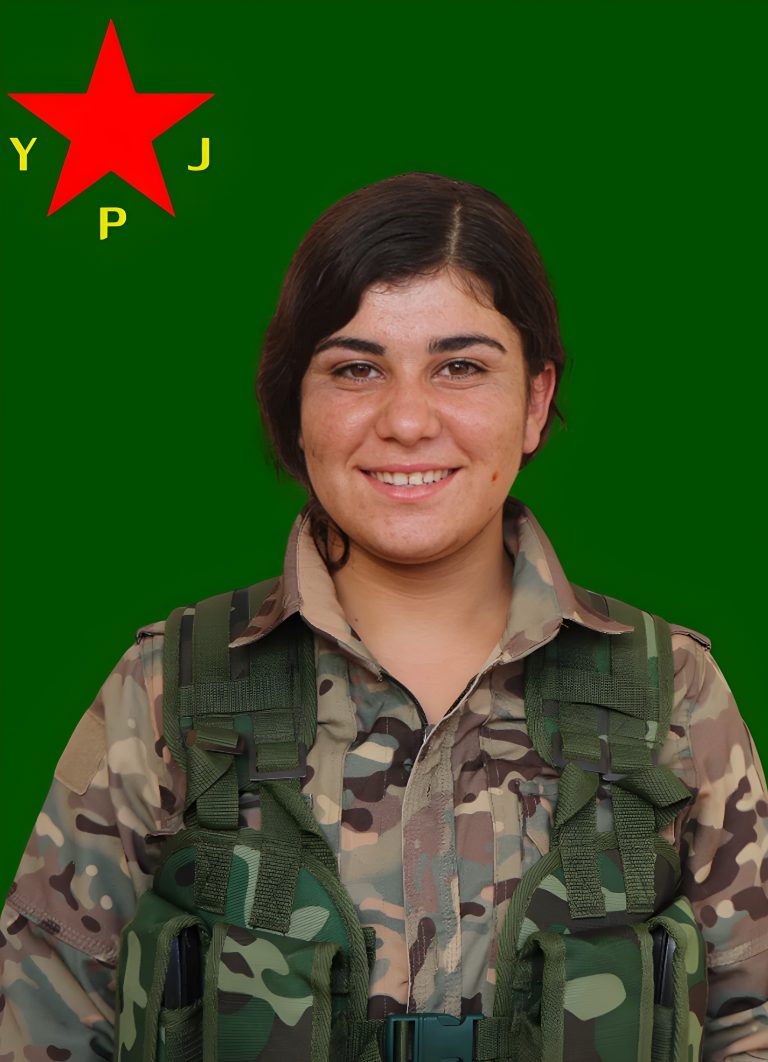 Ahîn Dilgeş