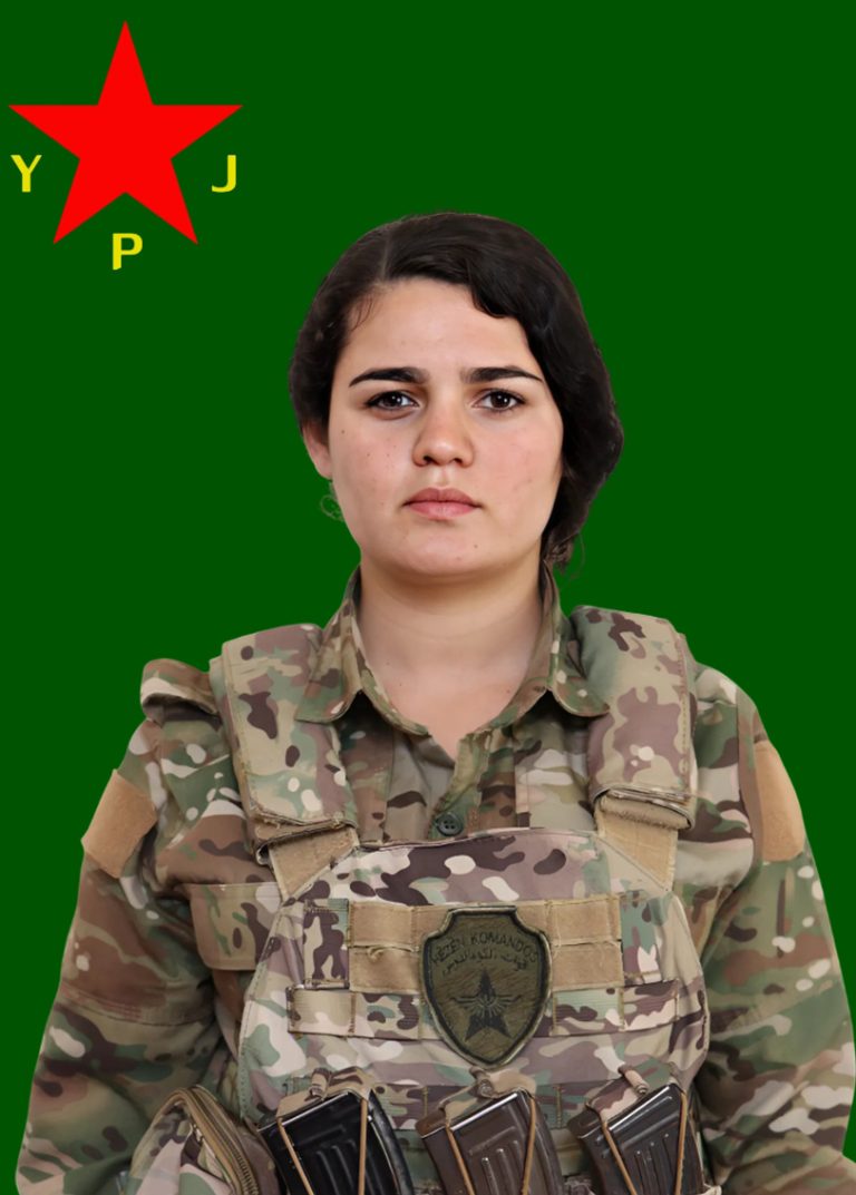 Axîn Koçer