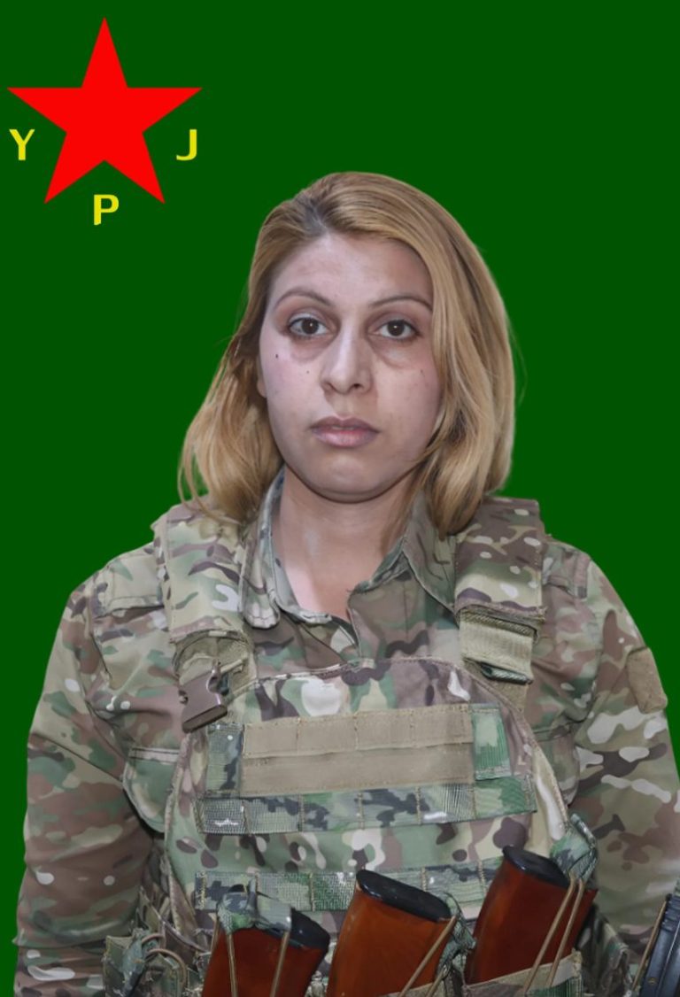 Cûdî Tolhildan