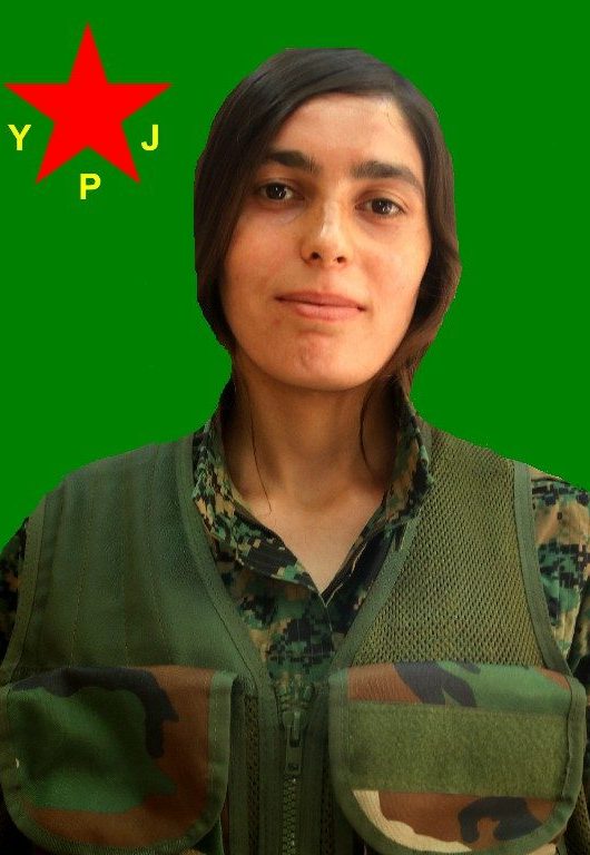 Nergiz Dilda Welat