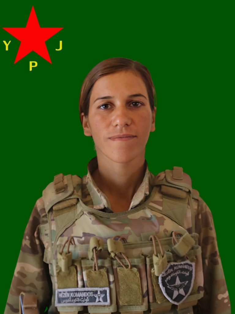Tolhildan Serêkaniyê