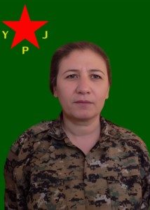 Zozan Hesekê