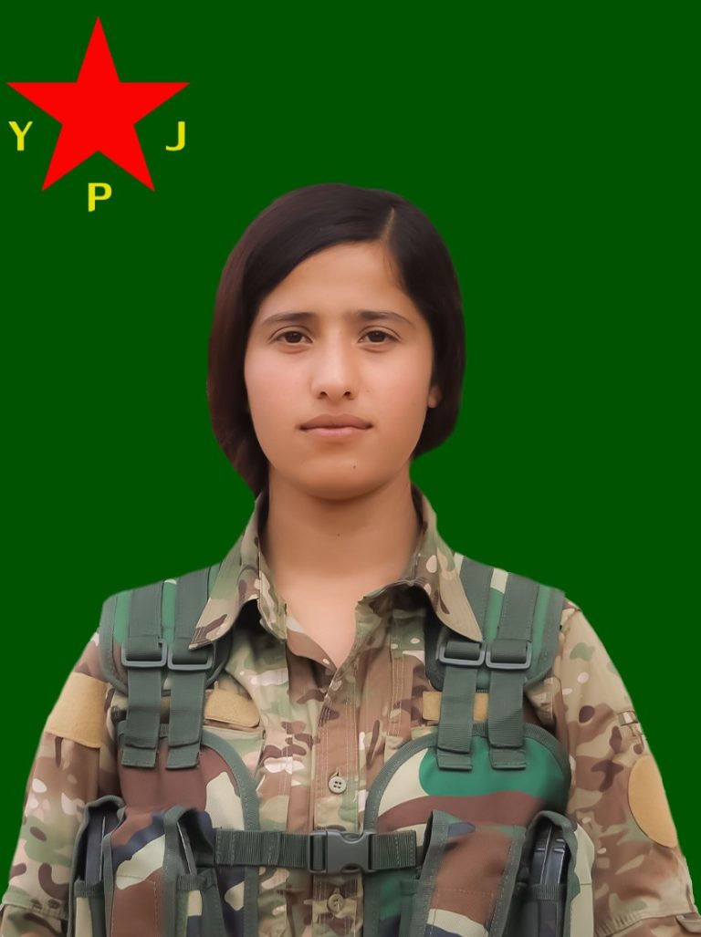 Tolîn Pelşîn Baz