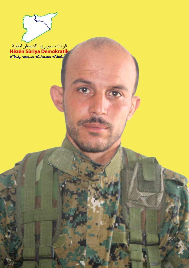 Şahîn