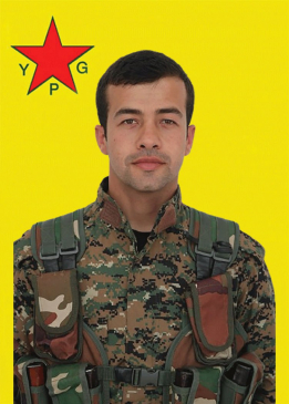 Bahoz Amed