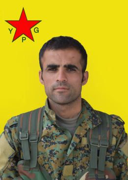 Ciwan Amed