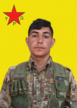 Dilpak Efrîn