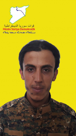 Elî Dêrazor