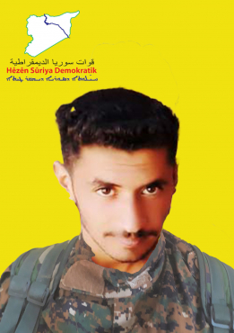 علي شدادي
