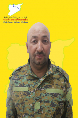 Elî Şêr Dêrazor
