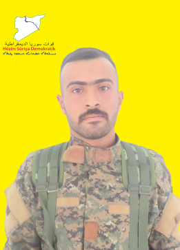 أنس صرين