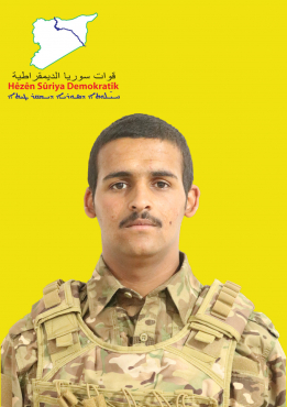 أرارات جل آغا