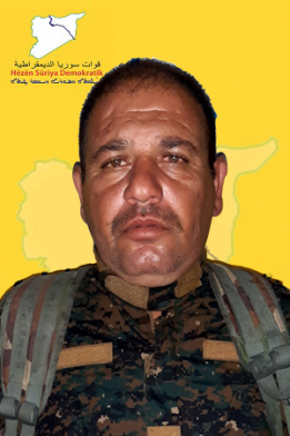 مالك شدادي