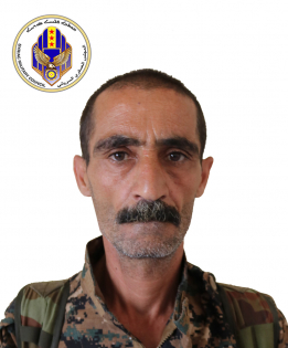 Qomo Hesekê