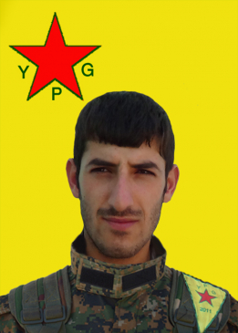 Cesur Gever