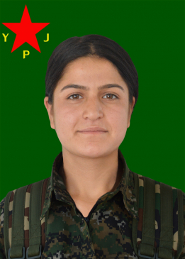 Çîçek Dêrik