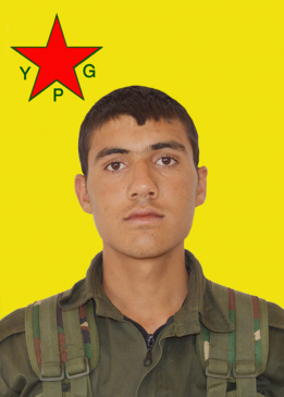 Delîl Cudî