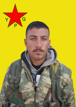 Delîl Cudî