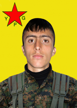 Delîl Hesekê