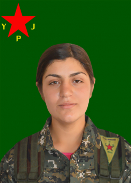 Dîcle Arjîn