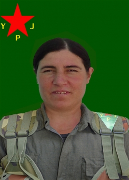 Dîcle Serhed