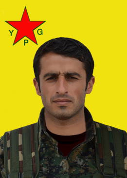 أحمد هافين