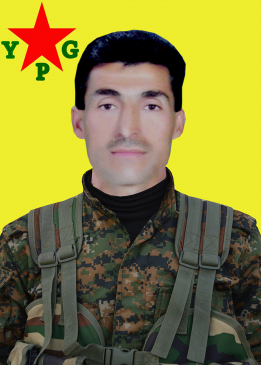 Elî Qamîşlo