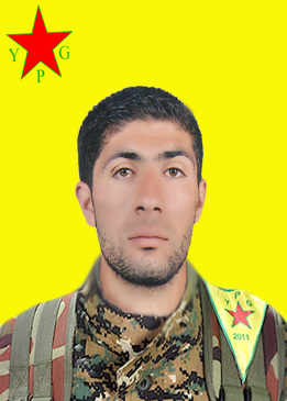 Elî Qamişlo