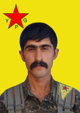 Elîşêr Amed