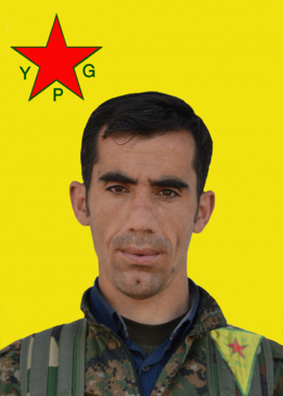 Erdal Amed