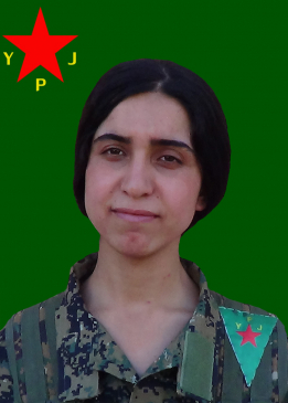 Evîndar Dersim