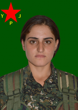 Evrîm Amed