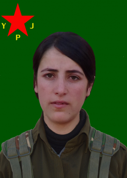 Eylem Havîn