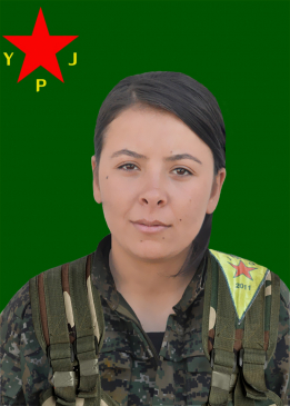 Gerîla Tolhildan