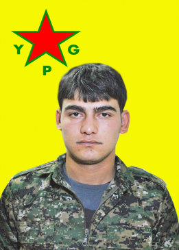 Gîvara Efrîn