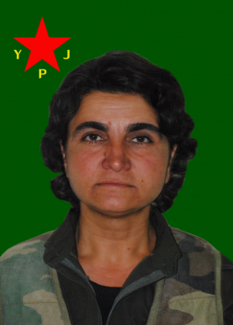 Gulan Çekdar