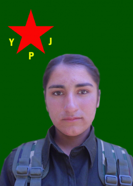 Gulîstan Qendîl
