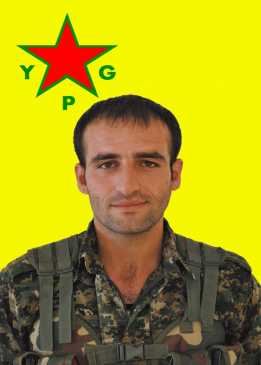 Harun Amed