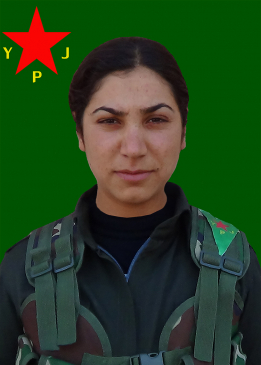 Havîn Şoreş