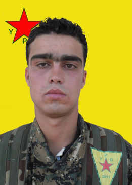 Hogir Bahoz