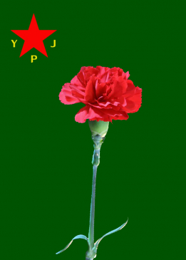 Jînda Efrîn
