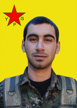 Kajîn Efrîn