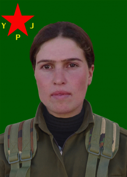 Koçerîn Viyan