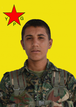 Lewend Kobanê