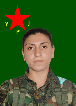 Medya Dijwar