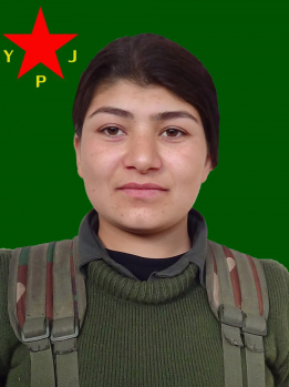 Mizgîn Cudî