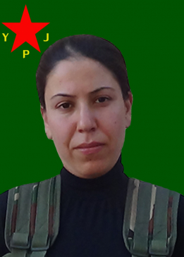 Mizgîn Dirbêsiyê