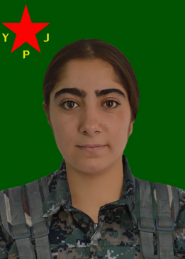 Mizgîn Mahîr