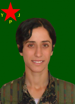 Mizgîn Ronahî