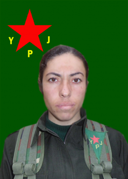 Newal Cudî